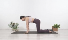 瑜伽初入门教学视频,入门教学视频精华解析